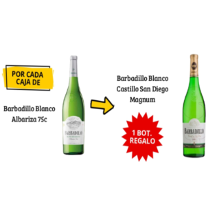PROMOCIÓN BARBADILLO ALBARIZA 75CL HASTA FIN DE EXISTENCIAS